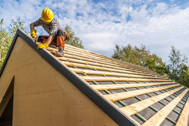 Best Storm Damage Roof Repair  in West Dundee, IL